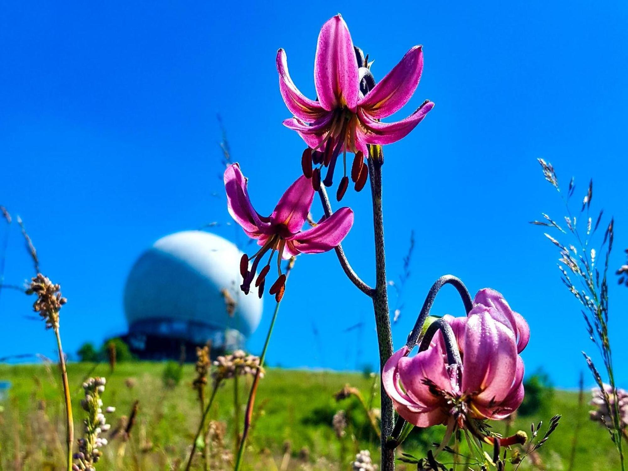 Peterchens Mondfahrt - Wasserkuppe Gersfeld Zewnętrze zdjęcie